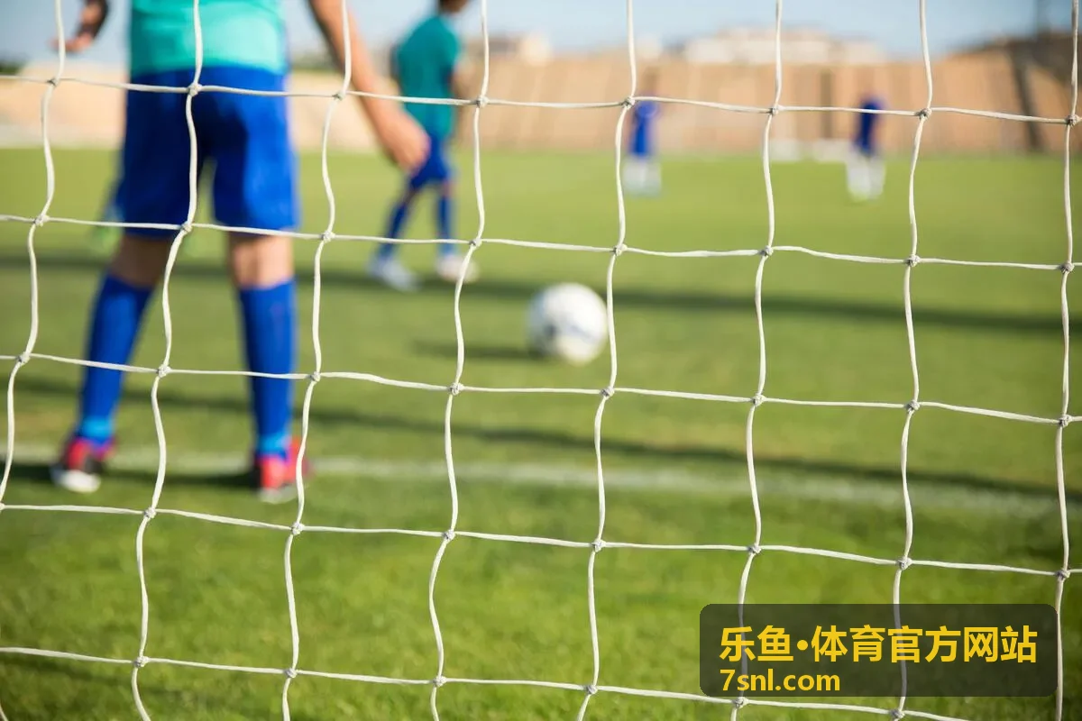 乐鱼·体育官方网站玩法分步指引