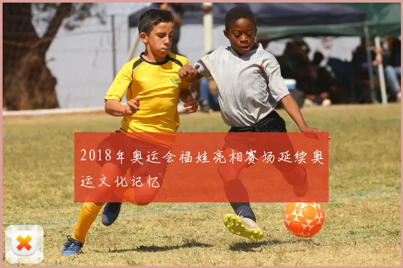 2018年奥运会福娃亮相赛场延续奥运文化记忆