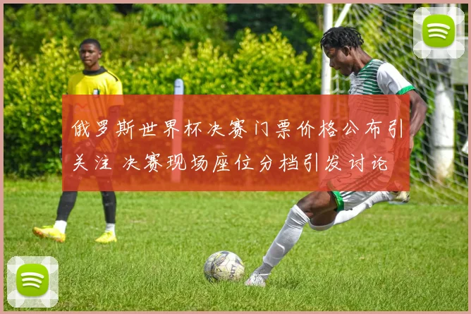 俄罗斯世界杯决赛门票价格公布引关注 决赛现场座位分档引发讨论