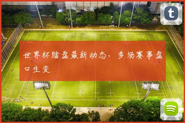 世界杯赌盘最新动态，多场赛事盘口生变