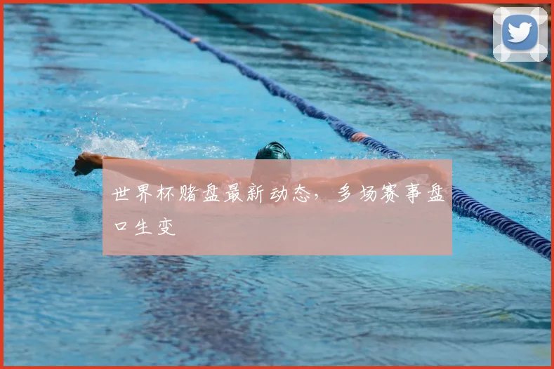 世界杯赌盘最新动态，多场赛事盘口生变
